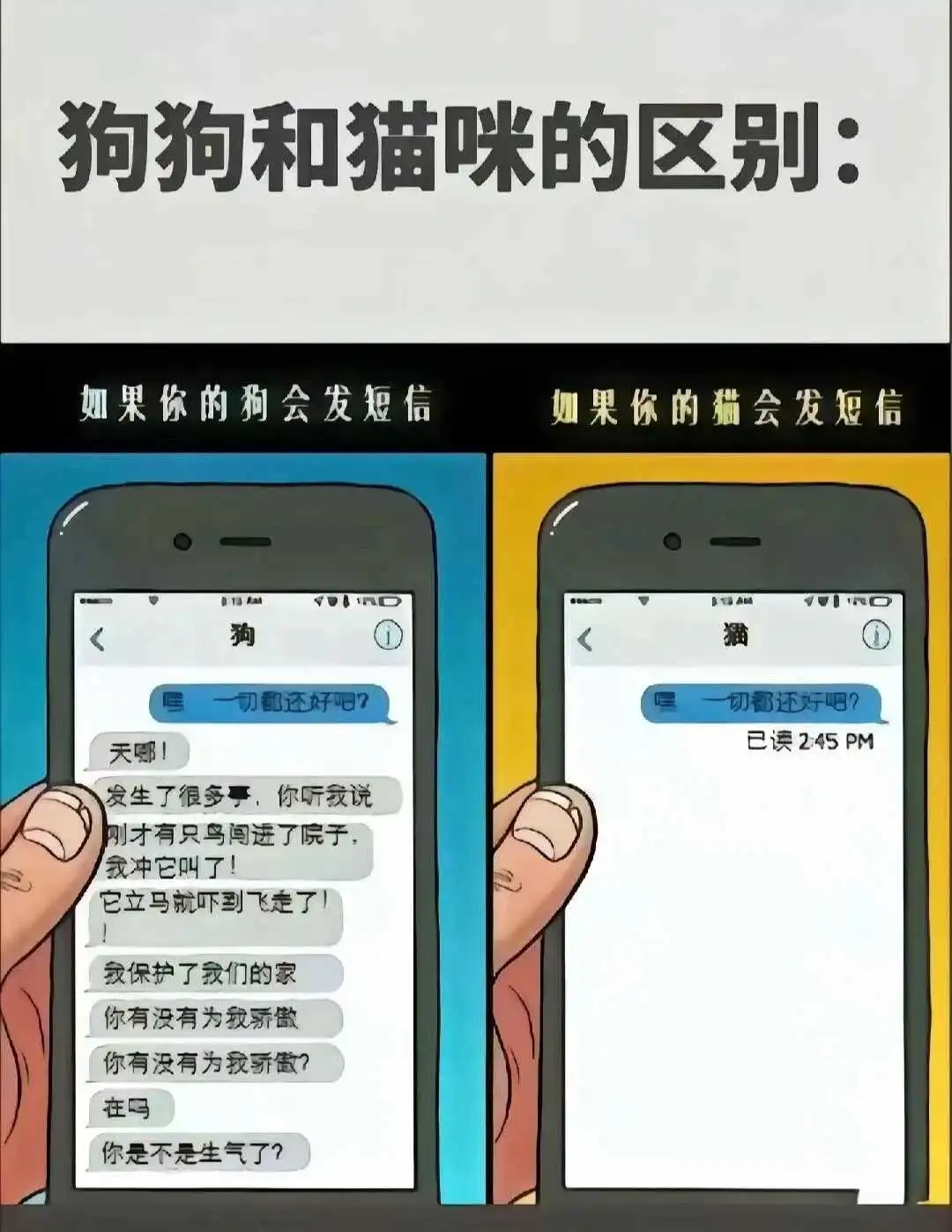 西檬之家s倾向解析:SSC原则下的安全实践 一