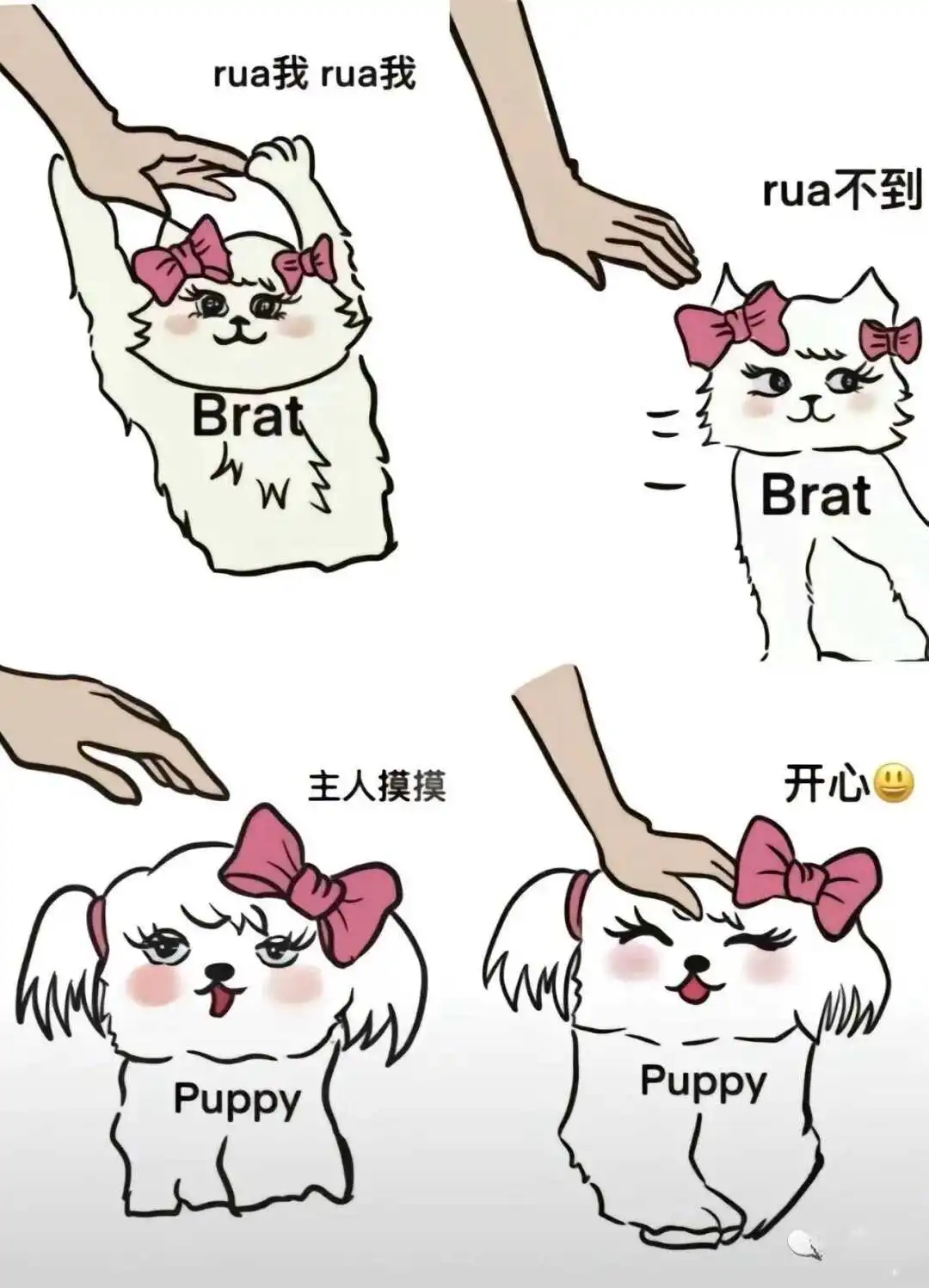 西檬之家字母圈新手必读:安全与信任的核心实践指南 一