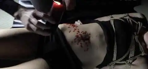 西檬之家女王是什么?你的BDSM属性是什么? 一