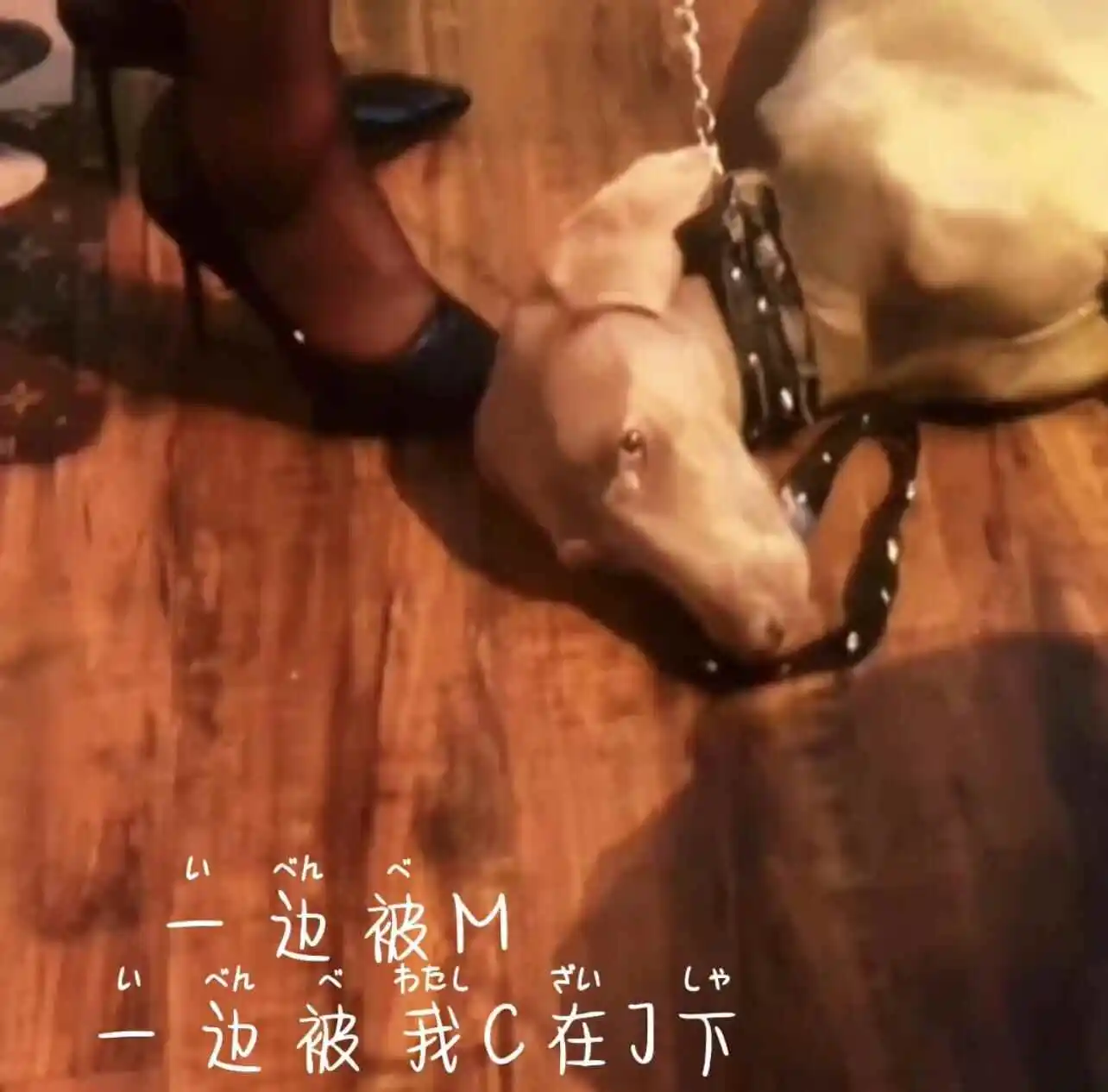西檬之家ddlg是什么?字母圈新人入圈指南 一