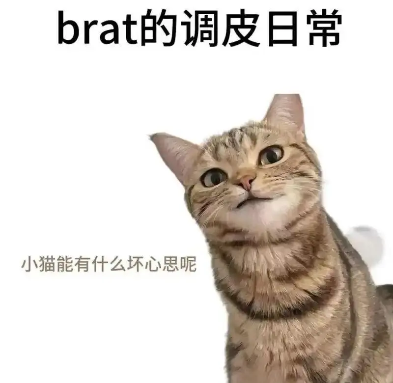 西檬之家Dom是什么意思?字母圈新人入圈 一