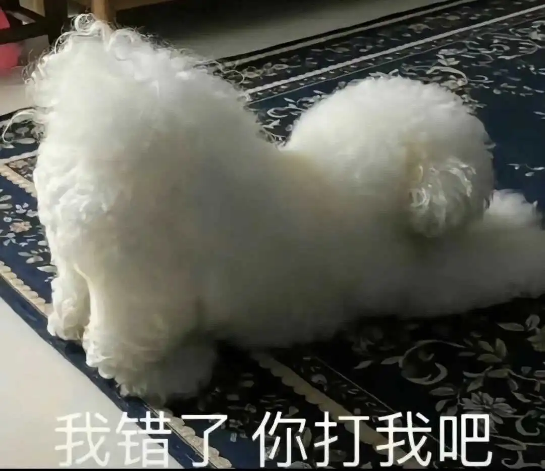 西檬之家字母圈spank是什么? 一