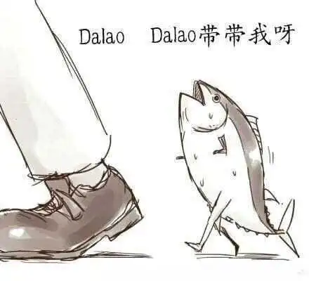 西檬之家k9犬系是什么?字母圈新人入圈 一