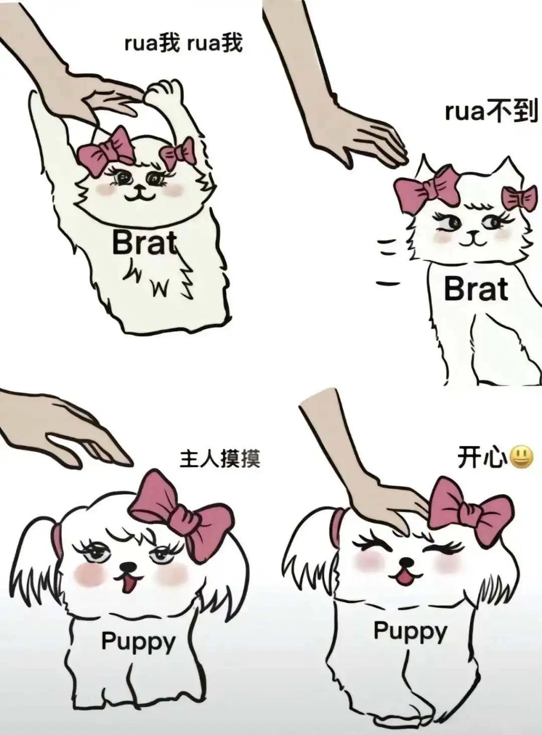 西檬之家m倾向是什么?字母圈新人指南 一