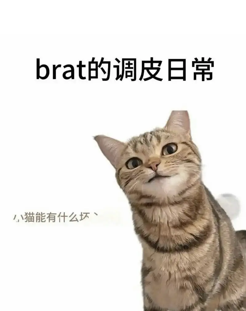 西檬之家字母圈m倾向是什么意思? 一
