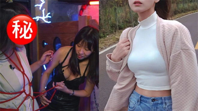 西檬之家k9是什么?字母圈属性全解析 一