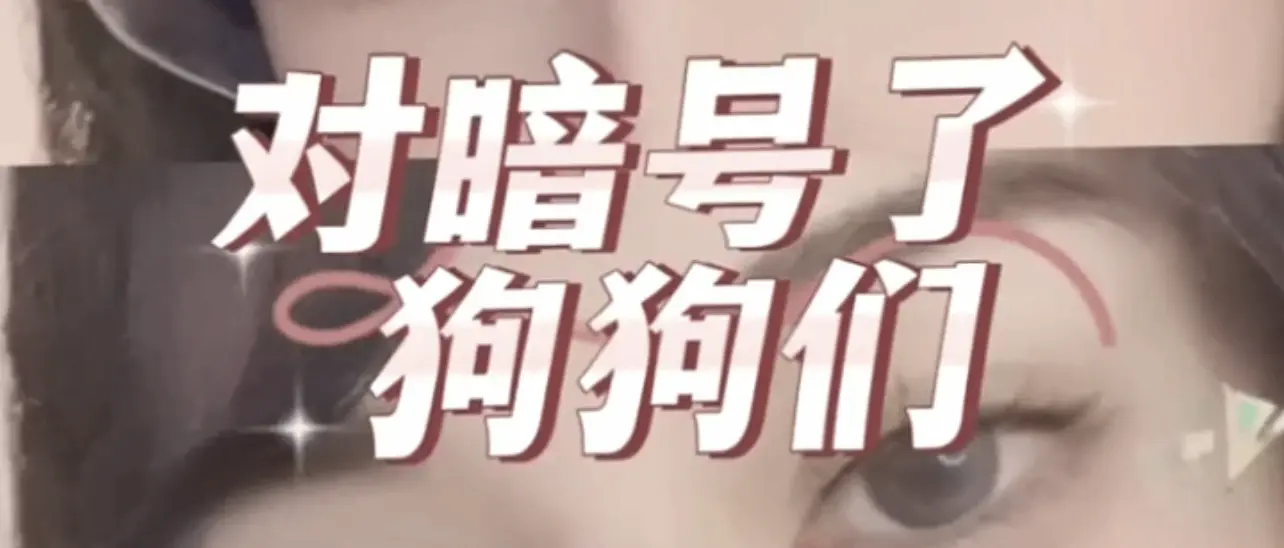西檬之家s倾向是什么意思?字母圈新人指南 一