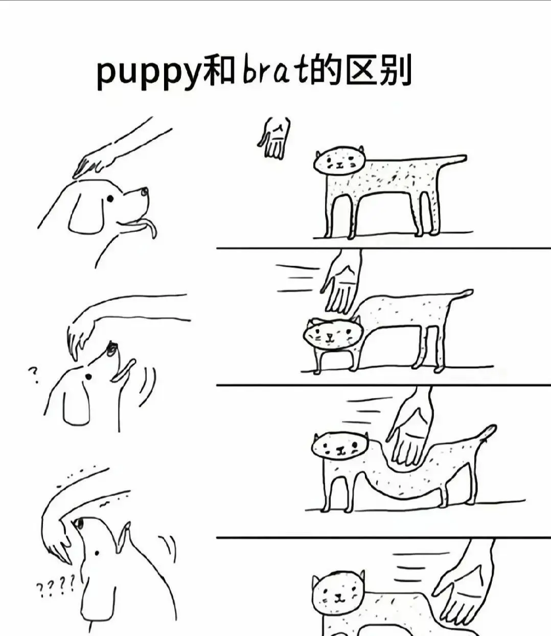 西檬之家k8猫系详解:新人必知 一