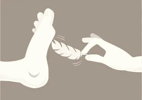 西檬之家k9是什么? 一